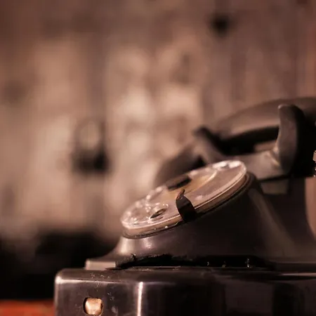 Flagnest - Vintage Comfort *