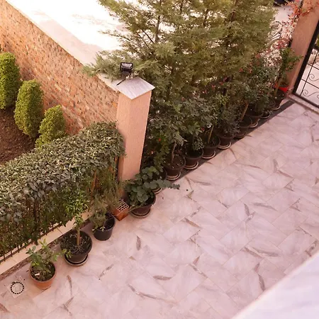 Flagnest - Vintage Comfort