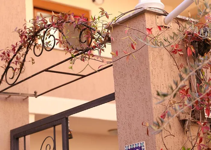 Flagnest - Vintage Comfort *