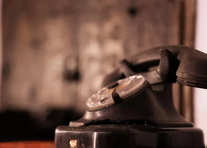 Flagnest - Vintage Comfort *