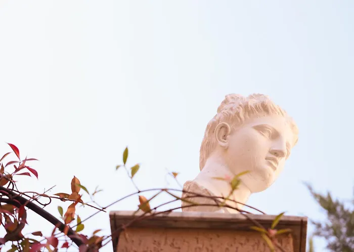 Flagnest - Vintage Comfort Daire Tiran